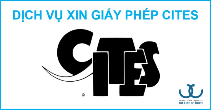 DỊCH VỤ XIN CẤP GIẤY PHÉP CITES, CHỨNG CHỈ CITES