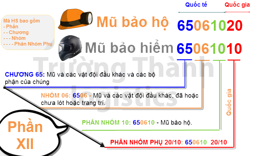 tra mã hs miễn phí