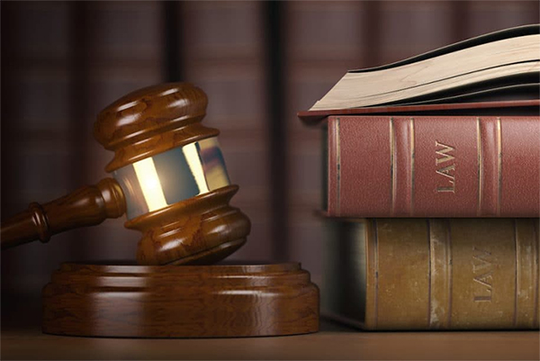 Thủ tục đăng ký quyền bảo hộ sở hữu trí tuệ với hải quan