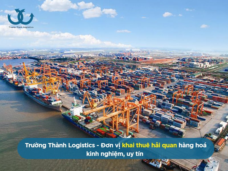 dịch vụ khai thuê hải quan tại Trường Thành Logistics
