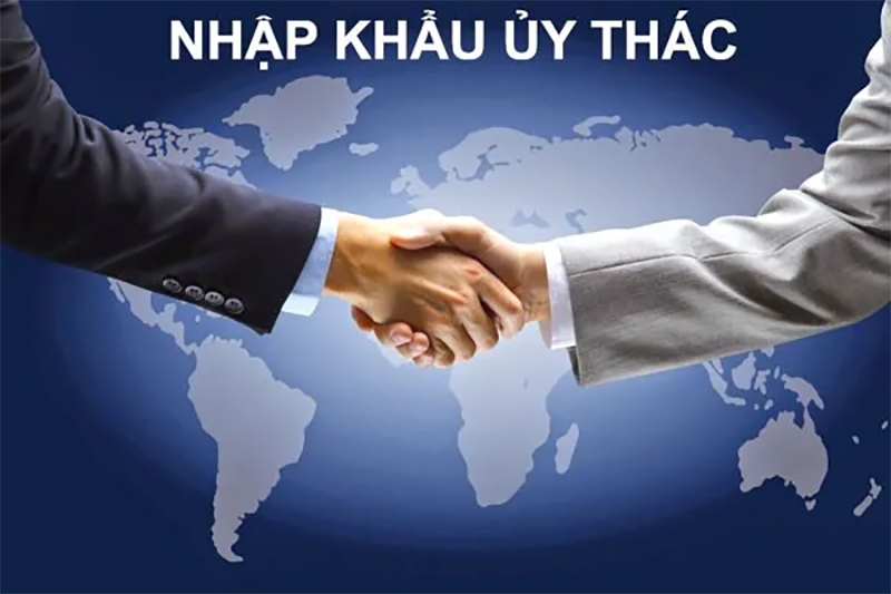 Dịch vụ uỷ thác nhập khẩu tại Trường Thành Logistics