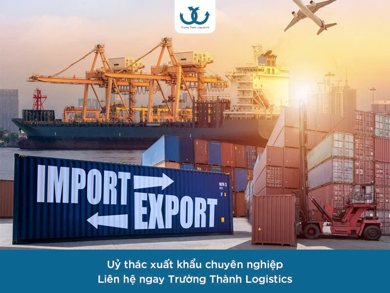 don-vi-uy-thac-xuat-khau-uy-tin-cau-noi-dua-thuong-hieu-viet-ra-the-gioi-1