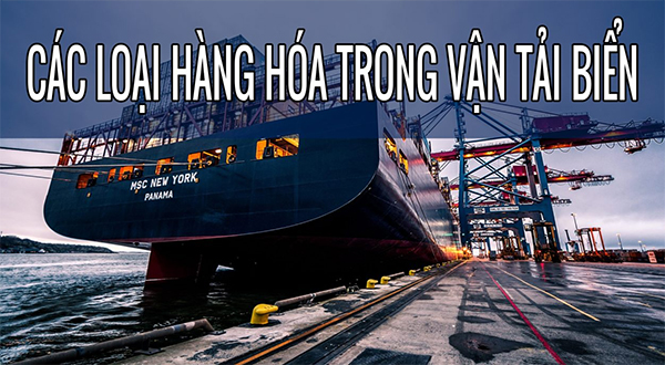 Phân loại hàng hoá trong vận tải đường biển
