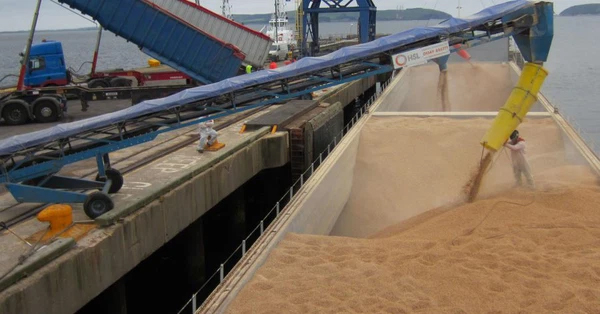 Phân loại hàng hoá trong vận tải đường biển