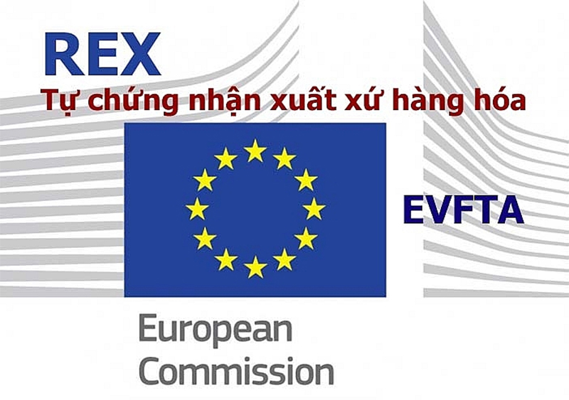 Quy trình xin cấp mã số REX