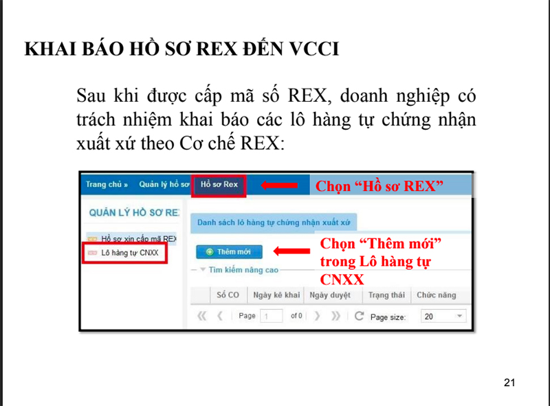 Quy trình xin cấp mã số REX