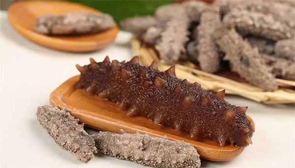 Thủ tục nhập khẩu hải sâm khô