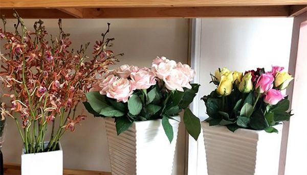 thu-tuc-nhap-khau-hoa-tuoi1-1 Thủ tục nhập khẩu hoa tươi