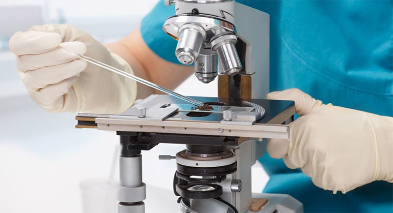 Thủ tục nhập khẩu Kính hiển vi phẫu thuật