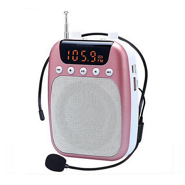 Thủ tục nhập khẩu loa trợ giảng mini