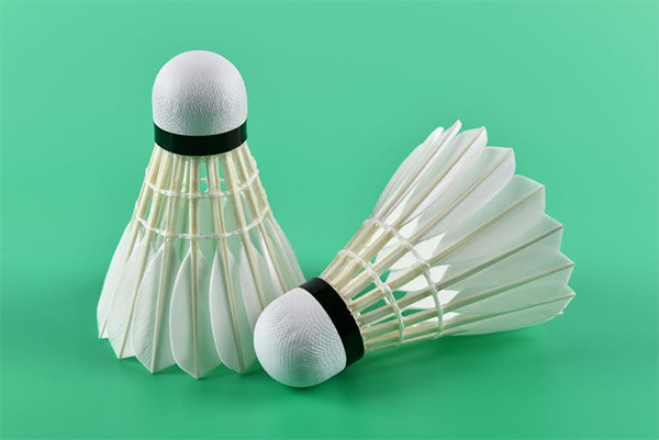 thu-tuc-nhap-khau-qua-cau-long-tennis-1-1 Thủ tục nhập khẩu quả cầu lông, quả tennis