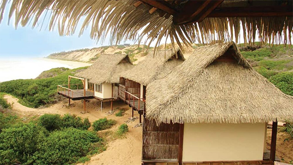 Thủ tục nhập khẩu rơm nhân tạo