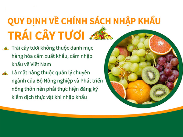 thủ tục nhập khẩu trái cây tươi