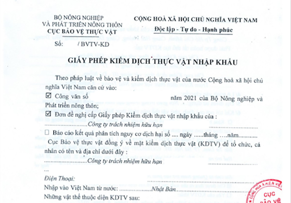 Thủ tục nhập khẩu trái cây