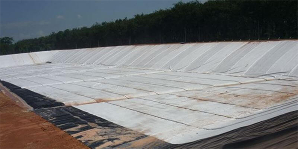 thủ tục nhập khẩu vải địa kỹ thuật
