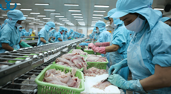 Giới thiệu quy trình nhập khẩu thủy sản cho người nhận hàng Trung Quốc