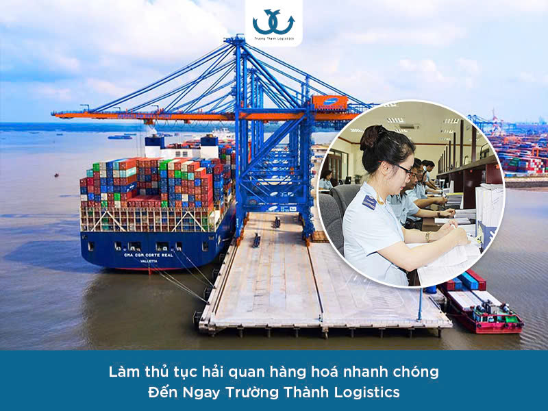 truong-thanh-logistics-don-vi-lam-thu-tuc-hai-quan-hang-hoa-nhanh-chong-uy-tin-1