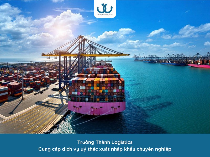 Trường Thành Logistics - Tự hào đơn vị uỷ thác xuất nhập khẩu chuyên nghiệp, tin cậy