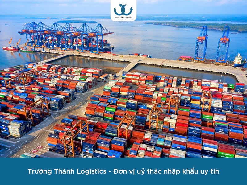uy-thac-nhap-khau-chuyen-nghiep-giai-phap-hieu-qua-giup-nhap-khau-nhanh-chong-1