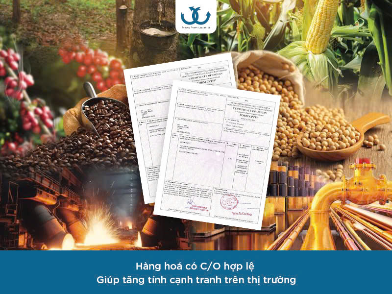 Cách tra cứu c/o