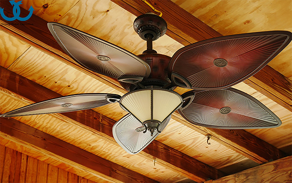 The related policy to Ceiling fan