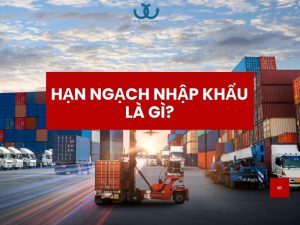 Hạn ngạch nhập khẩu là gì