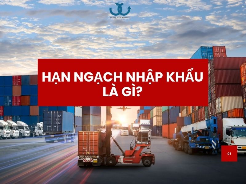 Hạn ngạch nhập khẩu là gì