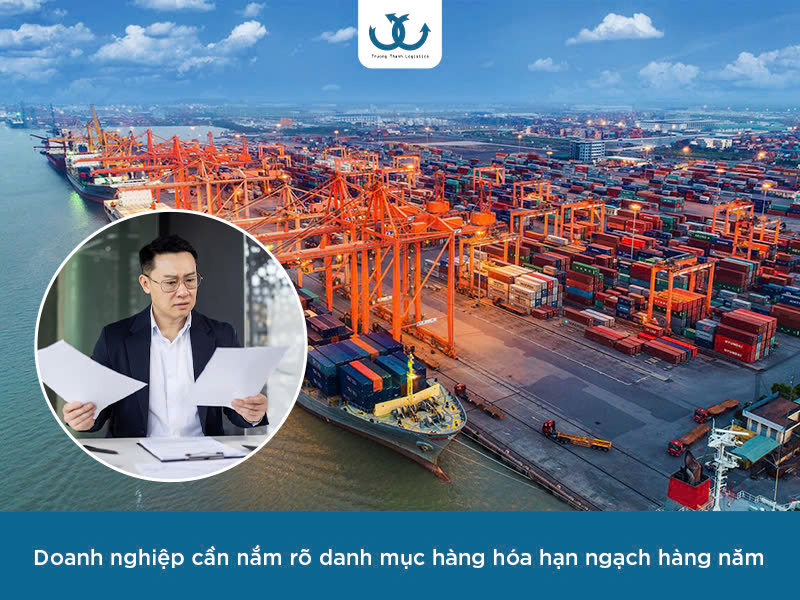 Hạn ngạch nhập khẩu là gì 
