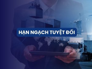 hạn ngạch tuyệt đối