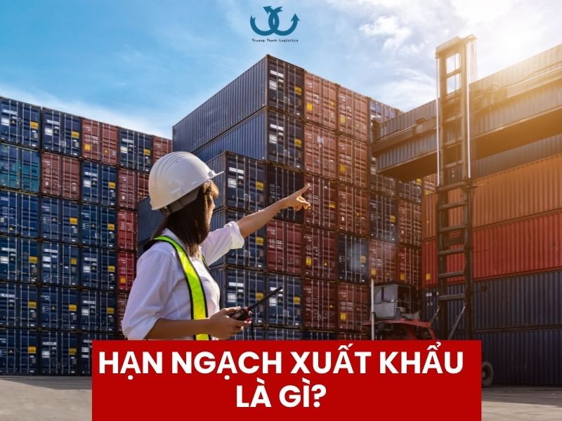 Hạn ngạch xuất khẩu 