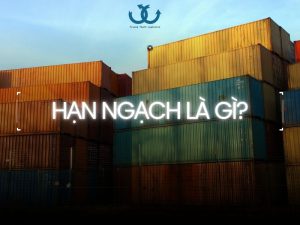 hạn ngạch là gì