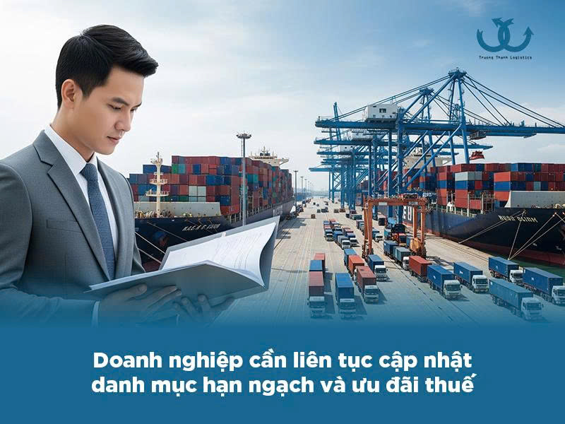 hạn ngạch là gì 