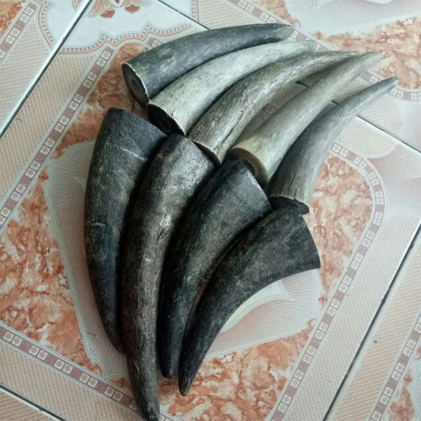 How to import buffalo horn from Vietnam to China?