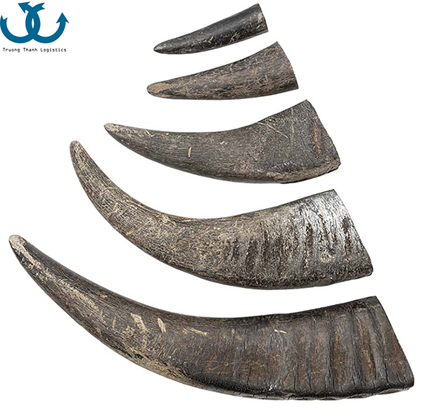 How to import buffalo horn from Vietnam to China?