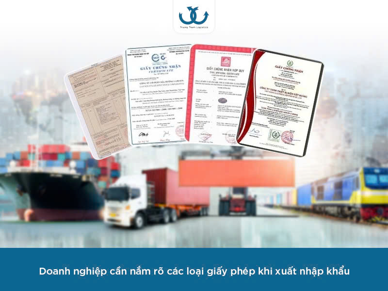 Dịch vụ xin giấy phép xuất nhập khẩu