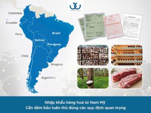 Nhập khẩu hàng hoá từ Nam Mỹ