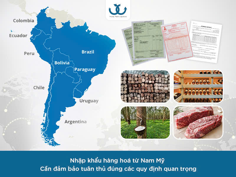 Nhập khẩu hàng hoá từ Nam Mỹ
