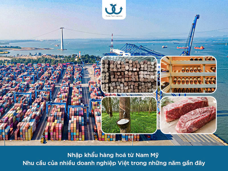Nhập khẩu hàng hoá từ Nam Mỹ