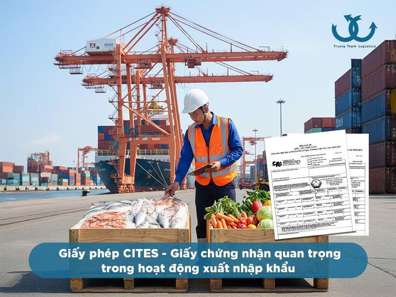 Xuất nhập khẩu động vật, thực vật 