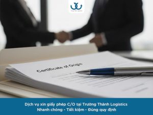 Dịch vụ xin cấp C/O tại Trường Thành Logistics