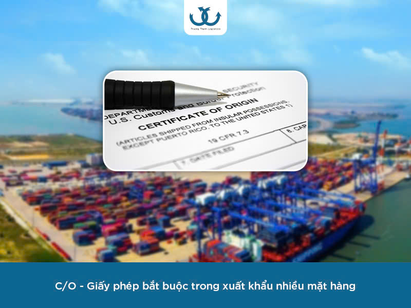 Dịch vụ xin cấp C/O tại Trường Thành Logistics