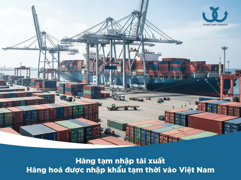 Làm thủ tục hải quan hàng hoá cho hàng tạm nhập tái xuất