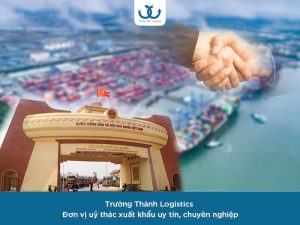 Gặp khó trong xuất khẩu hàng hoá: Lựa chọn ngay dịch vụ uỷ thác xuất khẩu