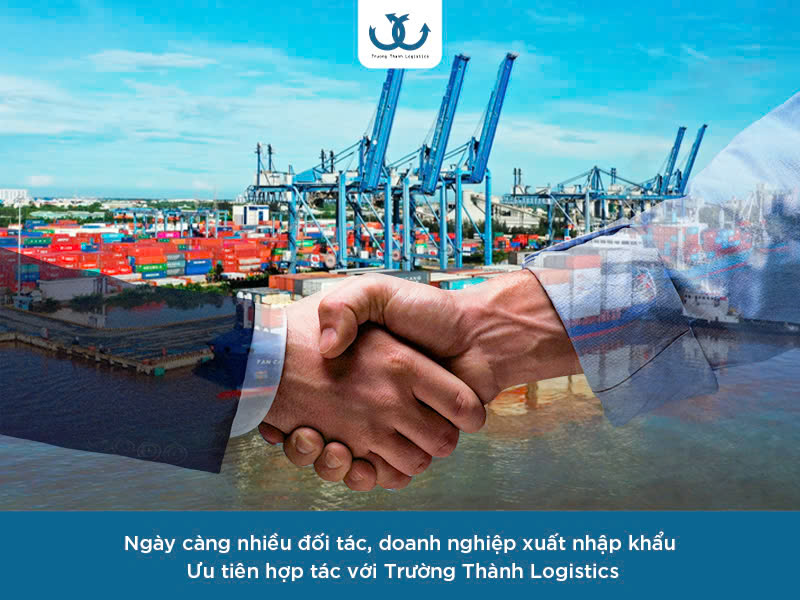 trường thành logistics