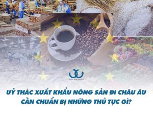 uỷ thác xuất khẩu hàng nông sản đi châu âu