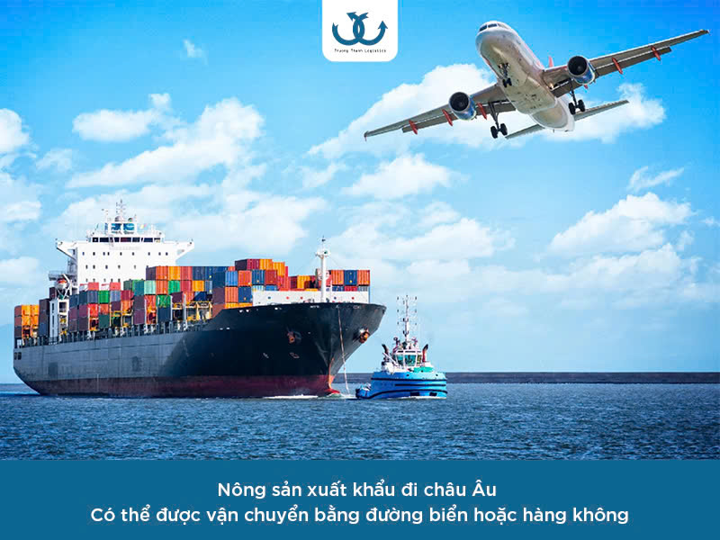 Vận chuyển hàng nông sản đi châu âu 