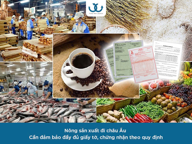 Vận chuyển hàng nông sản đi châu âu 