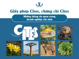 Giấy phép Cites, chứng chỉ Cites