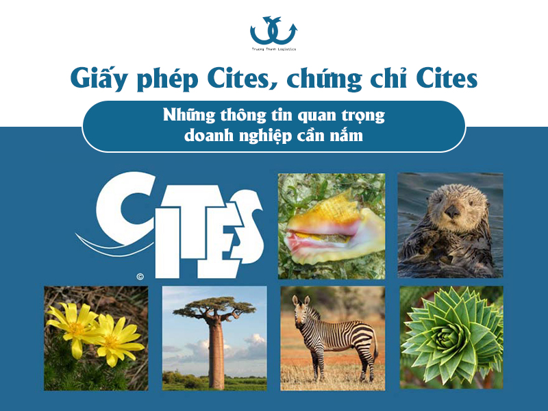 Giấy phép Cites, chứng chỉ Cites