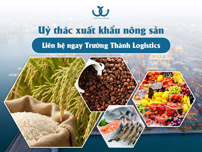 Lựa chọn uỷ thác xuất khẩu nông sản